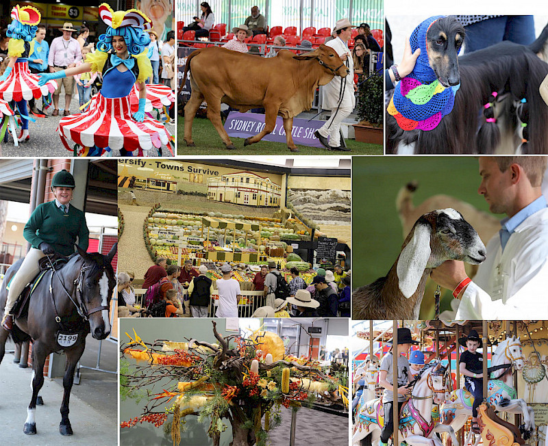 What I liked about the Royal Easter Show in Sydney