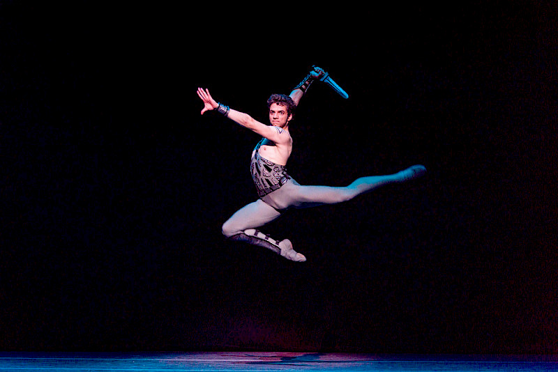 “Soft Diplomacy” of the Russian Federation: Bolshoi Ballet Returns to Brisbane