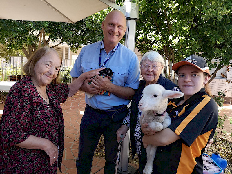 The joy of meeting animals