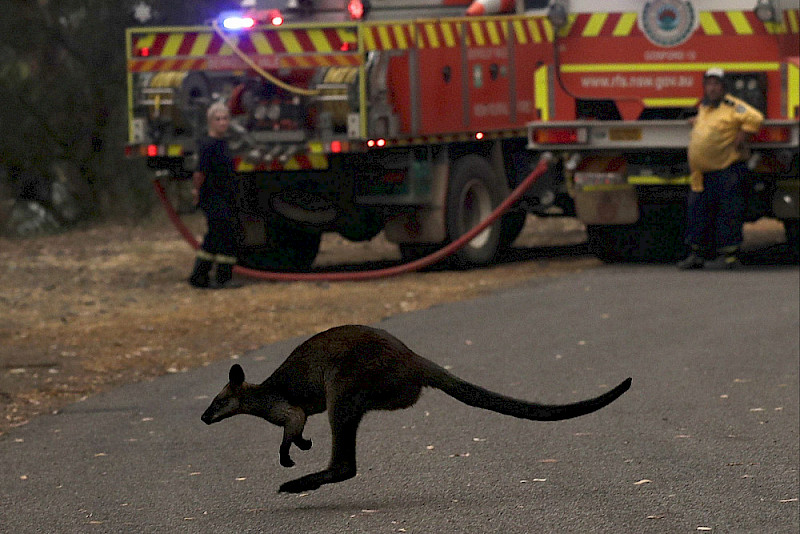 Witness of Bishfires in Australia: These were Biblical Pictures of Hell