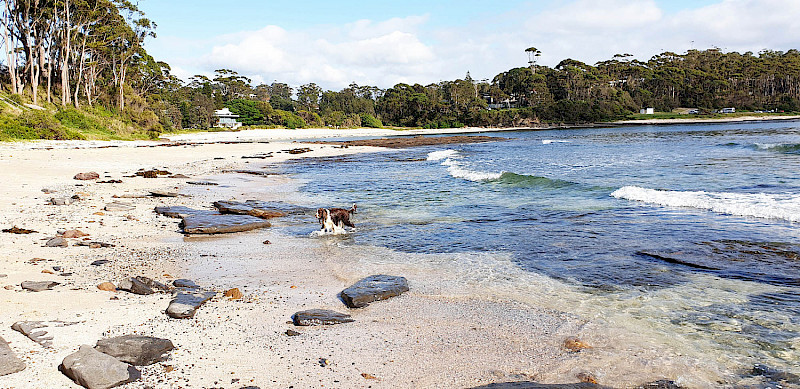 Mollymook on the South Coast