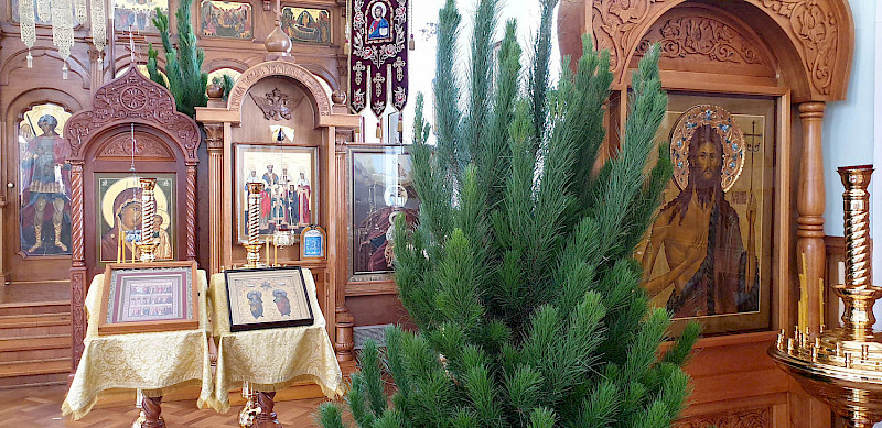Рождество Христово в православных храмах Австралии