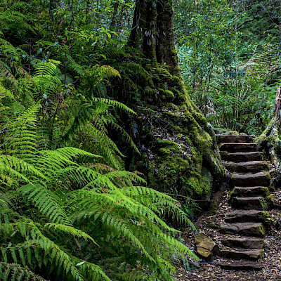 Secrets of the Blue Mountains of Australia