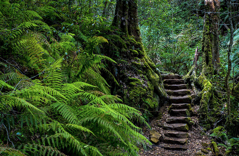 Secrets of the Blue Mountains of Australia