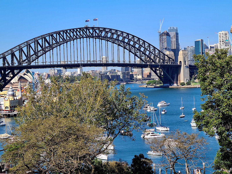 Golden Autumn in North Sydney