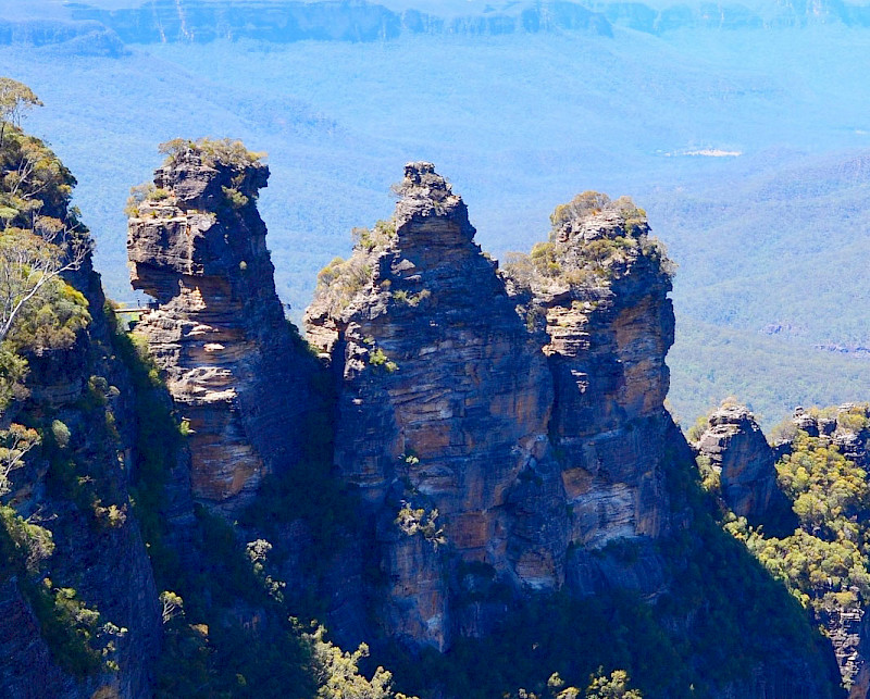 Three sisters for two brothers