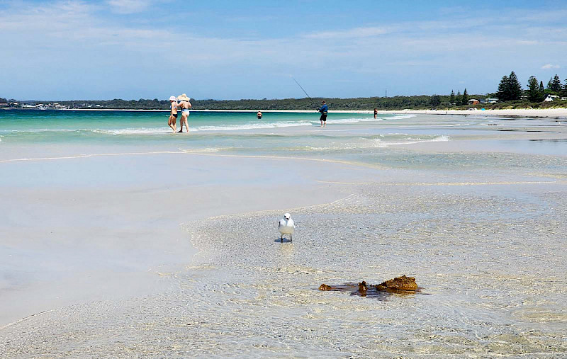 Каникулы в Shoalhaven. Часть вторая