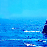 Sydney-Hobart Yacht Race. Регата Сидней -Хобарт