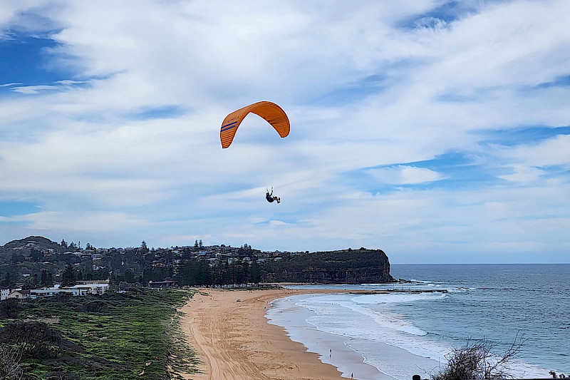 Прощай Mona Vale, ненадолго