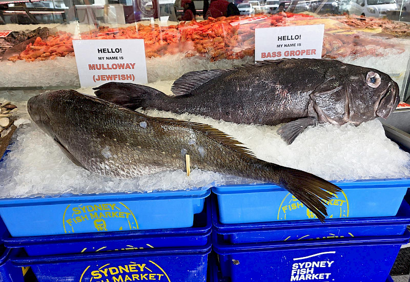 What can you buy in 20 minutes at the fish market