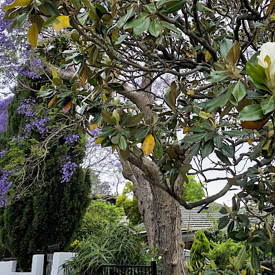 Летняя жара в середине весны