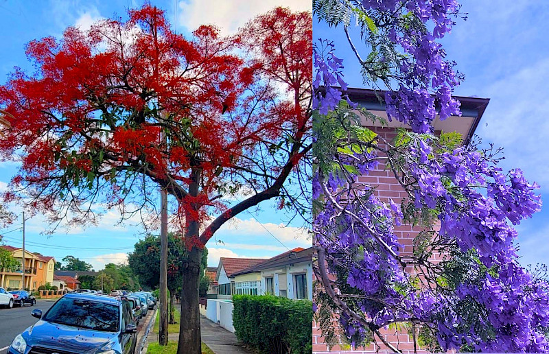 Обмен чудесами