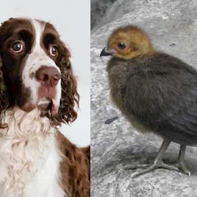 "Я здесь родился"