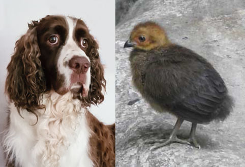 "Я здесь родился"