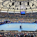 Январь, Сидней, теннис