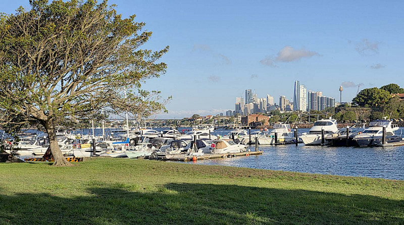 Тихое утро в День Австралии