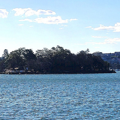 Сто процентов уникальности