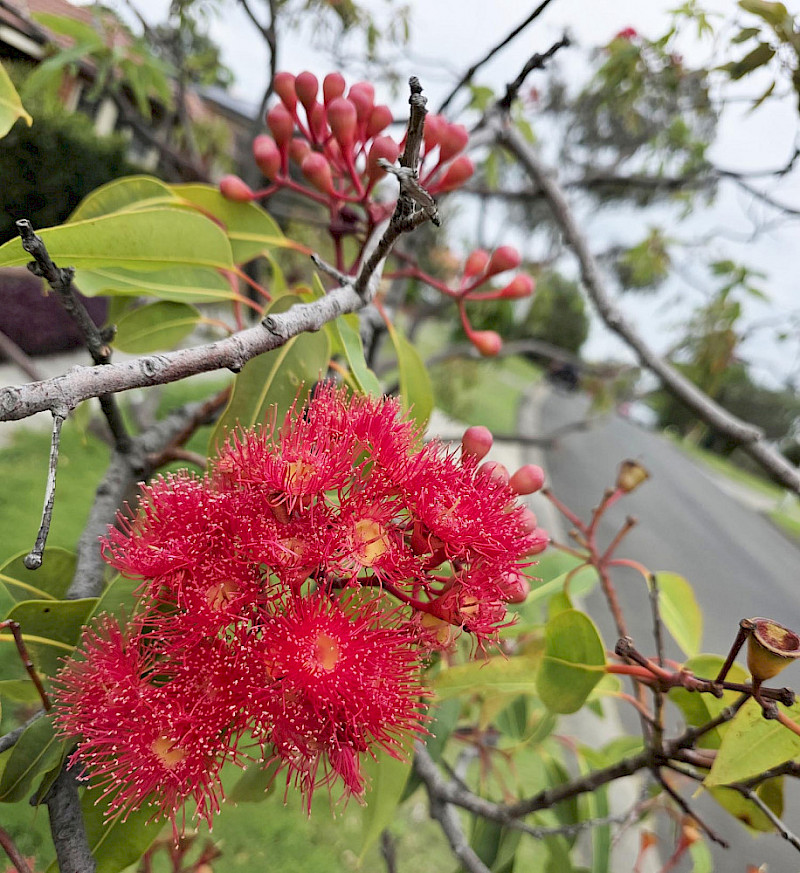 Кого таблетками, кого массажем