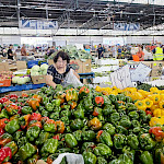 Кончается лето