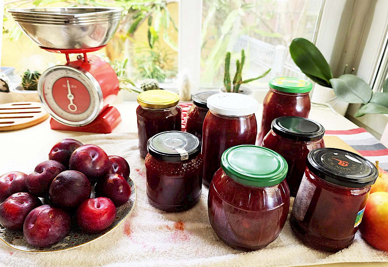 Какое лучше?