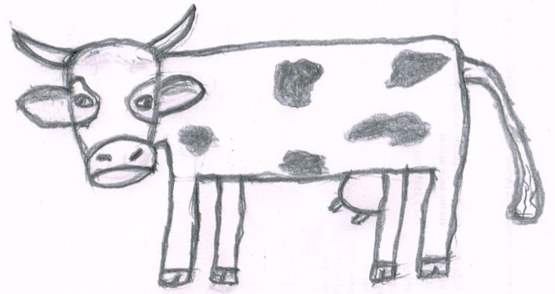 Впереди овцы!