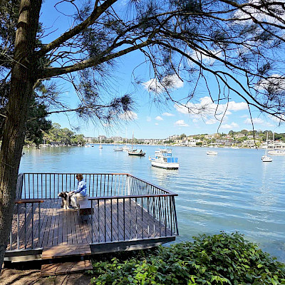 В нашем Бедламе