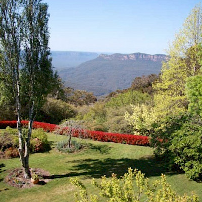 Весна в Голубых горах, Австралия, октябрь 2011