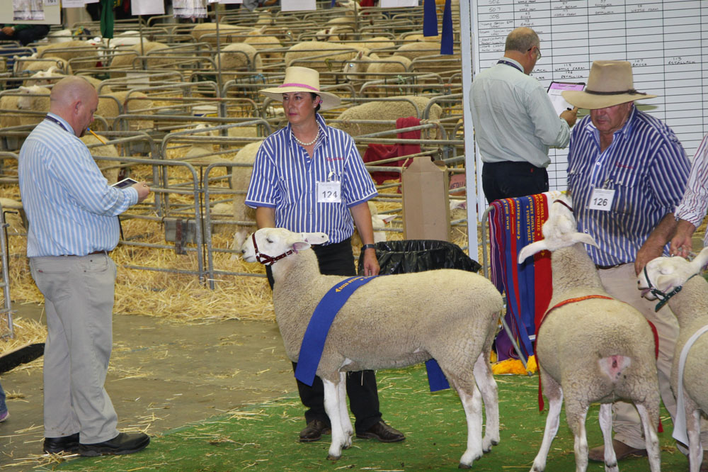 Sydney Royal Easter Show 2013