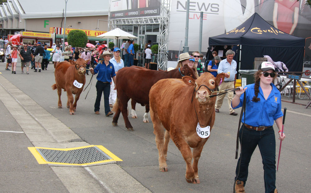 Sydney Royal Easter Show 2013