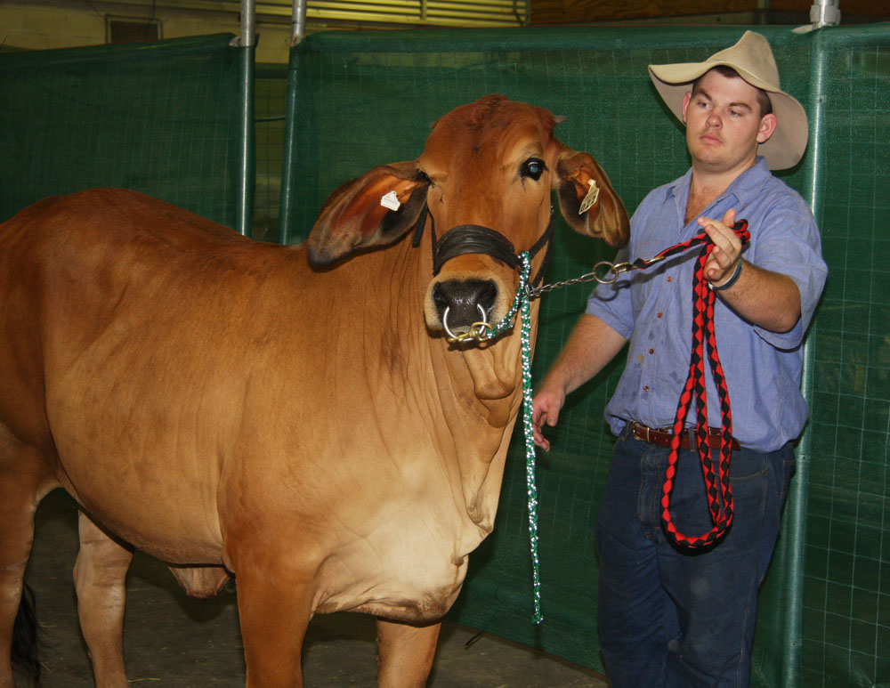 Sydney Royal Easter Show 2013